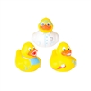 2" Dental themed rubber duck assortment