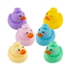 2" Dumpling Duck Assortment