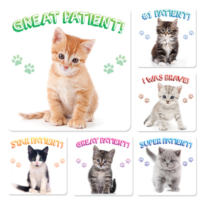 Kitten Patient Stickers (100)