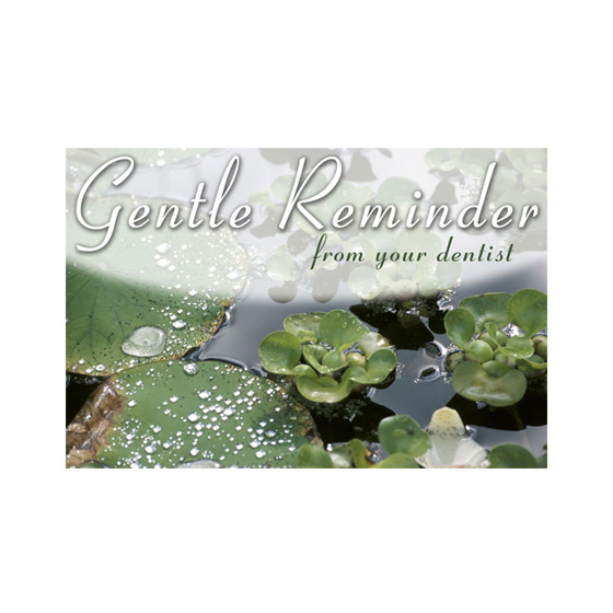 Lily Pads Postcard
