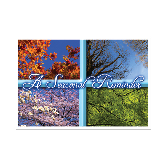 Seasons Window Postcard
